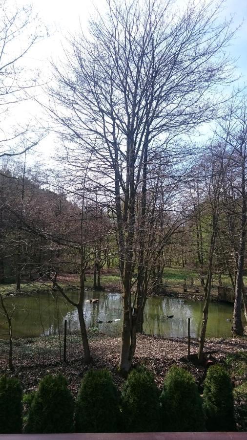 Ferienwohnung Am Ententeich Bad Marienberg Exteriör bild